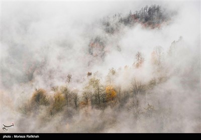 لطافت هوا در مناطق کوستانی و جنگلهای پوشیده از مه آخرین روزها از فصل پاییز در ارتفاعات تالش استان گیلان.