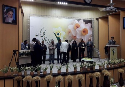 برگزیدگان نخستین جشنواره عکس گل نرگس در خراسان جنوبی معرفی شدند