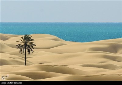 سیستان و بلوچستان کا دَرَک ساحل