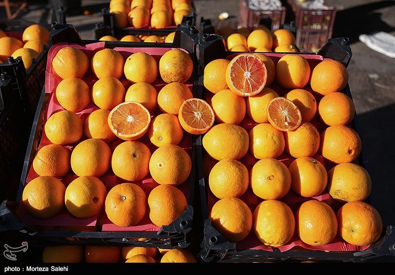 یزد| 90 درصد میوه تنظیم بازار شب عید استان یزد تأمین و ذخیره سازی شد