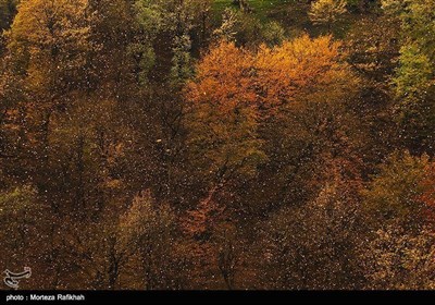 ایران کے صوبہ گیلان میں موسم خزاں کے آخری ایام