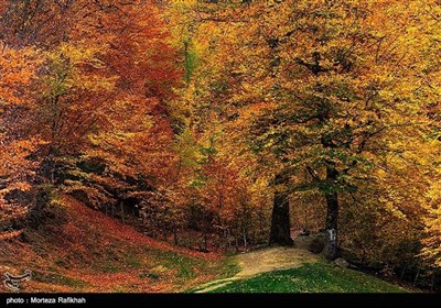 ایران کے صوبہ گیلان میں موسم خزاں کے آخری ایام