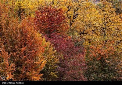 ایران کے صوبہ گیلان میں موسم خزاں کے آخری ایام