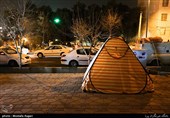 موش‌ معضل دوم تهران پس از آلودگی هواست