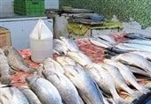 گلستان| 4 تن و 800 کیلو ماهی قاچاق در شهرستان آق‌قلا کشف شد