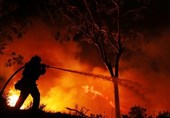آتش‌سوزی کالیفرنیا رکورد شکست