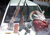 دستگیری شکارچیان غیرمجاز در پارک ملی گلستان؛ 4 رأس کل و بز وحشی کشف شد