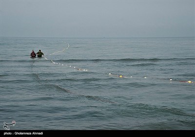 صید پره یکی از قدیمی‌ترین روشهای صید ماهیان استخوانی از جمله ماهی سفید در حاشیه جنوبی دریای خزر (استان گیلان و مازندران) است که قدمتی چند صد ساله دارد.
