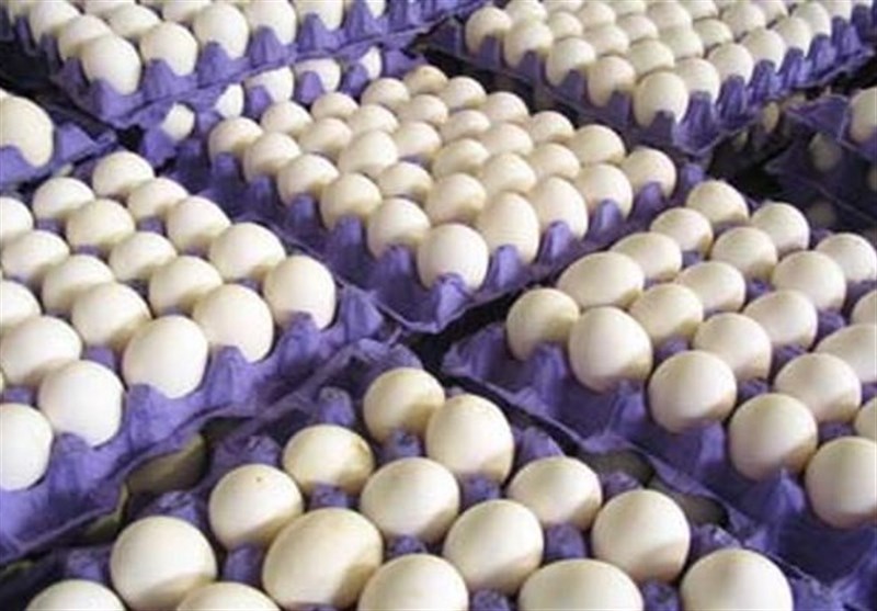 هزینه تولید تخم‌مرغ 40 درصد افزایش یافت