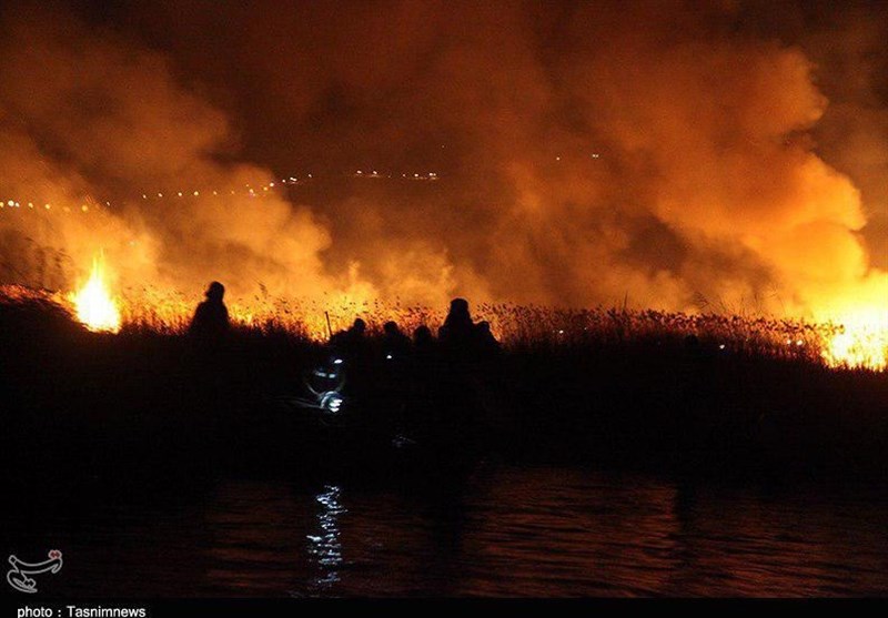 گزارش|زریبار قربانی آتش سهل‌انگاری و باورهای اشتباه/ 56هکتار از اراضی زراعی و نیزارهای دریاچه دود شد + فیلم