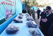 اصفهان| کشف بیش از 3 تن انواع مواد مخدر در شهرضا
