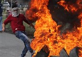 حماس: انتفاضة شعبنا ستُفشل الاستیطان