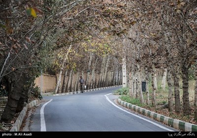 محله های تهران- اُزگل