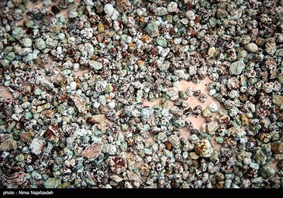 به‌طور تقریبی از هر تن سنگ فیروزه خام این معدن ۸ تا ۱۰ کیلوگرم فیروزه به‌دست می‌آید. 