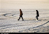 تهدید سلامت مردم شیراز با ریزگردهای نمک مهارلو/ هیچ پرنده مهاجری به استان فارس نیامده است