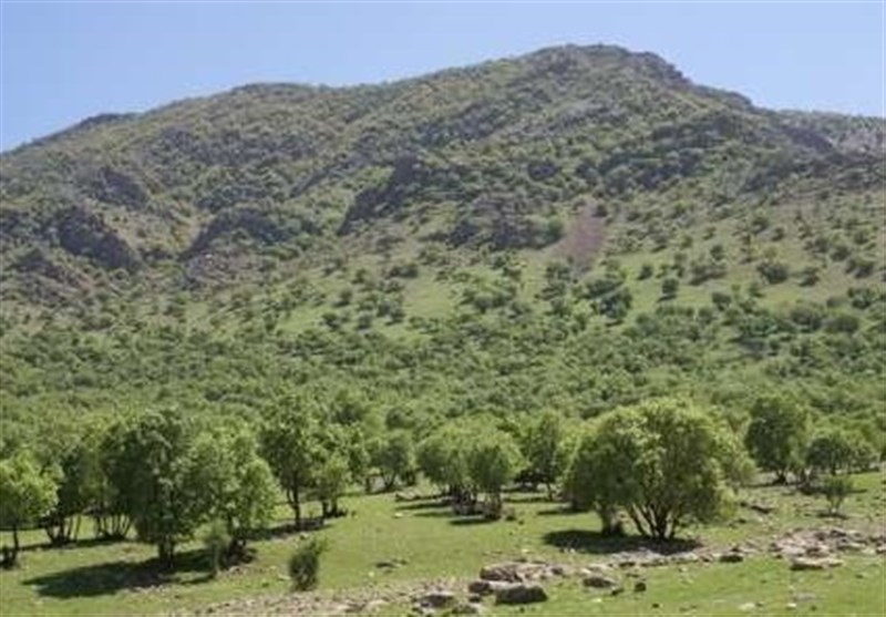 طرح احیای محیط زیست در خوزستان اجرا می‌شود