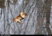 بارش های ایران 46 میلیمتری شد؛ 42 درصد کمتر از سال گذشته