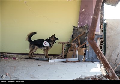 Iran’s Search and Rescue Training Center