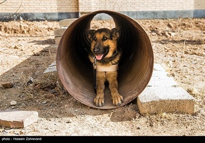 Iran’s Search and Rescue Training Center