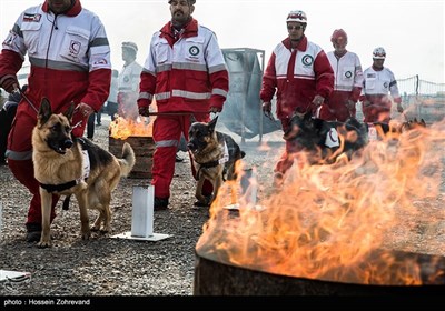 Iran’s Search and Rescue Training Center