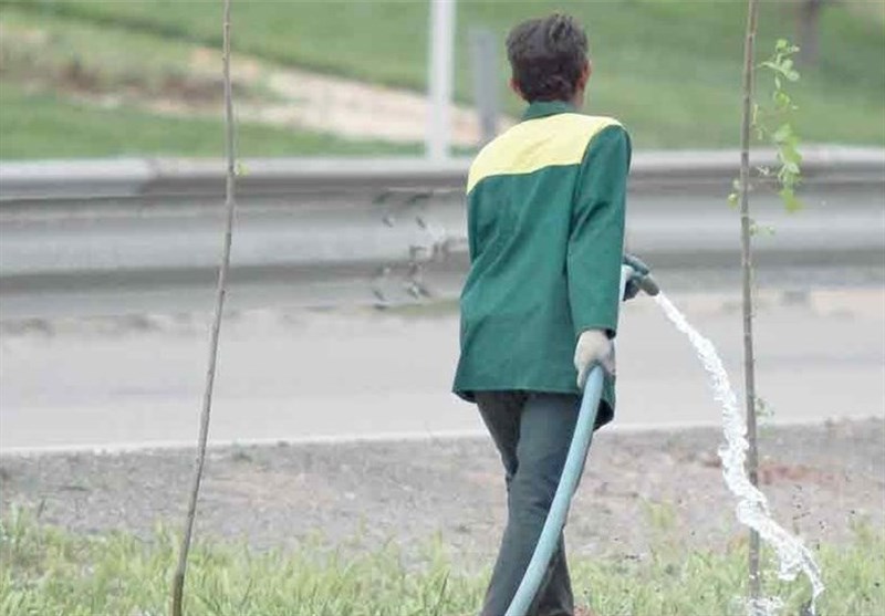 بوشهر| ادارات برای آبیاری فضای سبز مجاز به استفاده از آب شرب نیستند