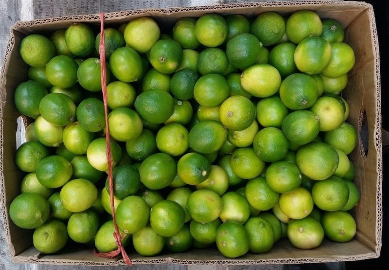 لیمو ترش مرغوب باغداران کیلویی 10 هزار تومان خریداری می‌شود