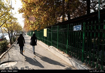 پیاده روهای کوی دانشگاه تهران
