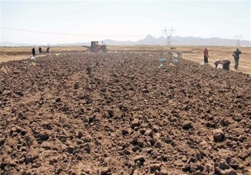آثار خشکسالی در زمین های کشاورزی