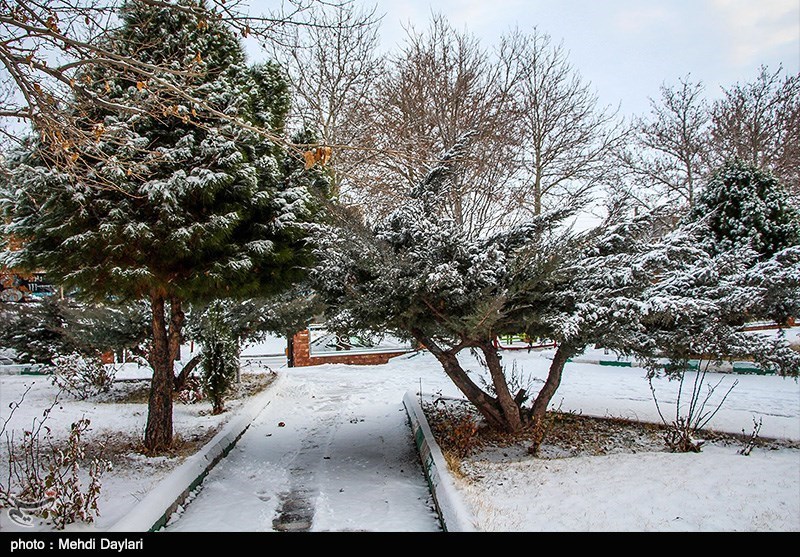 آخرین وضعیت بارشهای زمستانی در ایران /احتمال ورود دوباره گردوخاک در جنوب غرب