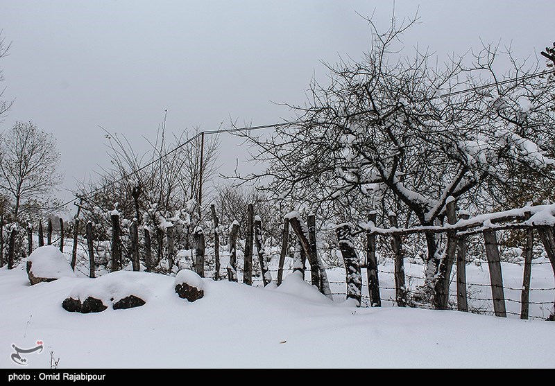 بارش برف راه ارتباطی 250 روستای الیگودرز را با مشکل روبه‌رو کرد