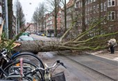 Three Killed as Severe Storm Lashes Netherlands
