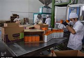 کار و تلاش در صنعت سبز خوزستان به روایت تصویر