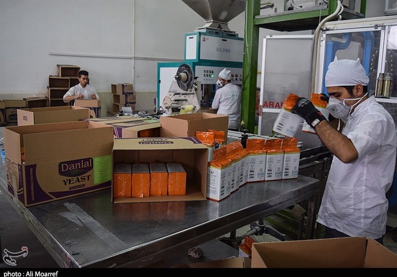 کار و تلاش در صنعت سبز خوزستان به روایت تصویر
