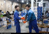 کرج| 40500 شغل امسال در استان البرز ایجاد شد