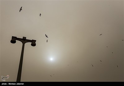 Dust Pollution Cripples Life in Southwestern Iran
