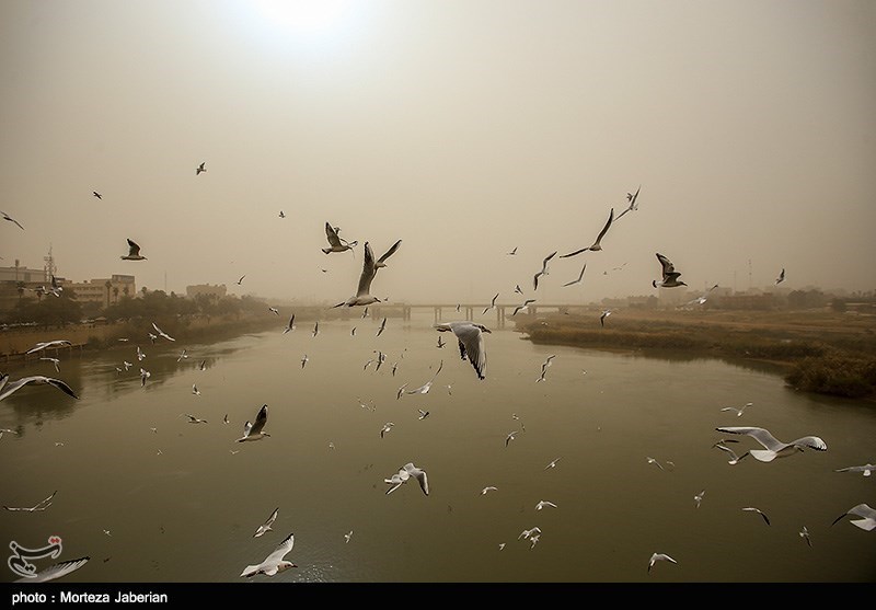 خوزستان| وقوع طوفان گرد و خاک مرز در مرز چذابه/ هیچ خسارت جانی و مالی گزارش نشده است