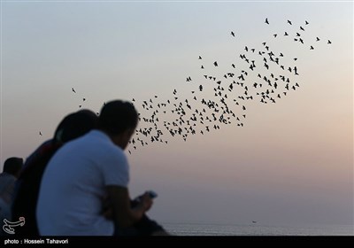 Commemoration Ceremony Held on Kish Island for Iranian Sailors