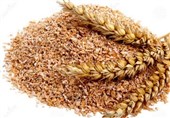 اردبیل|تولید بذر گندم در استان اردبیل افزایش می‌یابد