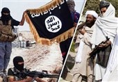ادامه درگیری‌ها بین طالبان و داعش در شمال افغانستان