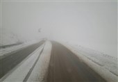 بارش برف استان مازندران را سفیدپوش کرد