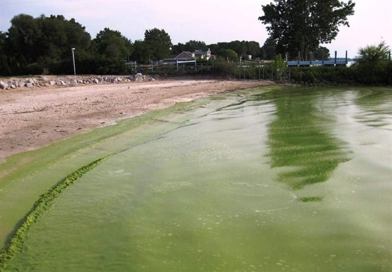 Phosphorus Pollution Reaching Dangerous Levels Worldwide