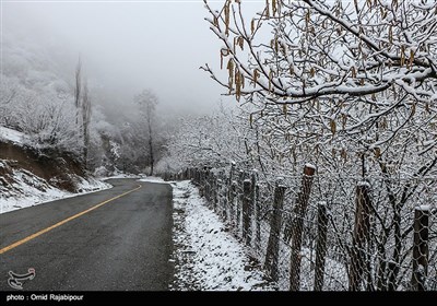 بارش برف در ییلاقات رحیم آباد گیلان