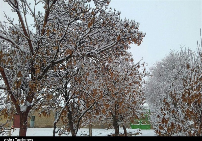 بارش برف در استان مرکزی- شهرستان ساوه