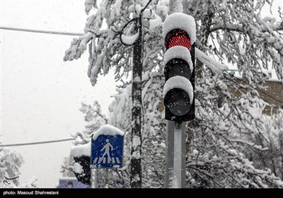 Tehran Embraces First Winter Snow