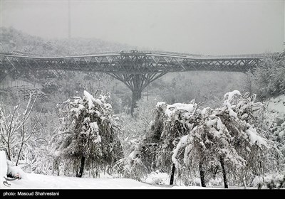 زمستان برفی تهران