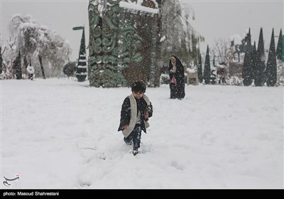 زمستان برفی تهران