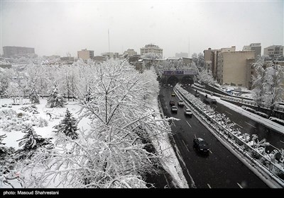 Tehran Embraces First Winter Snow