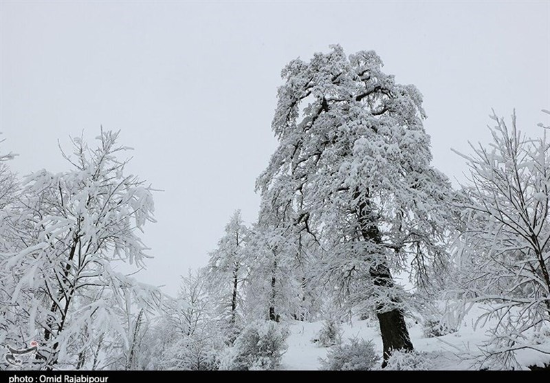 Javaher Dasht: An Attractive Area in Gilan Province, North of Iran