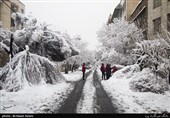 همدان سفید پوش می‌شود/ کاهش محسوس دما در استان همدان از صبح جمعه