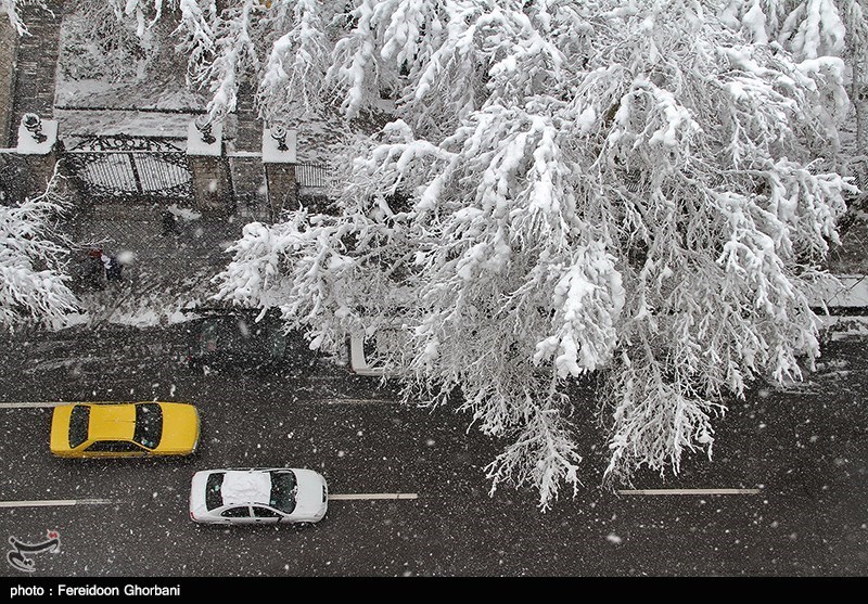 کاهش دمای کمینه و یخبندان در استان البرز